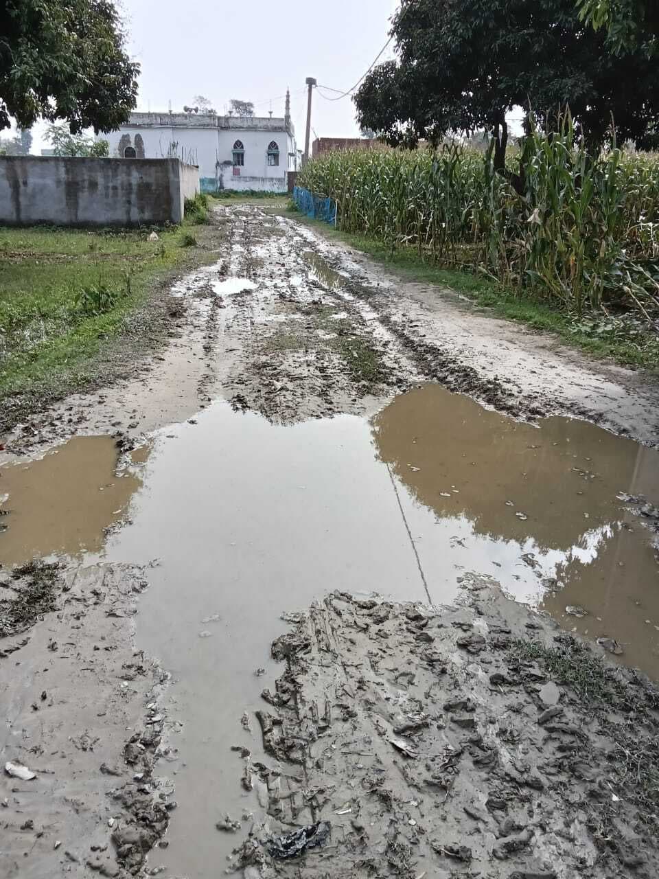 नगर पंचायत के वार्ड दो में हल्की बारिश में सड़क पर कीचड़ से लोग परेशान