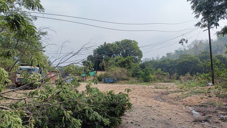Bokaro News : आंधी-पानी से कई पेड़ गिरे, घंटों बिजली आपूर्ति ठप