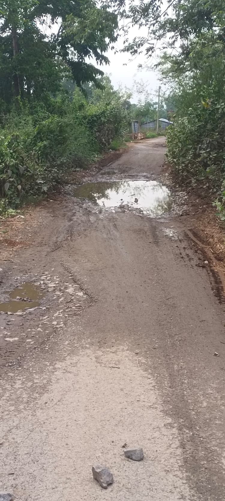 सरौनीकला-बिहारीगंज सड़क की मरम्मत नहीं होने से परेशानी