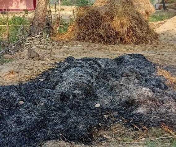 खलिहान में आग लगने से गेहूं जलकर राख