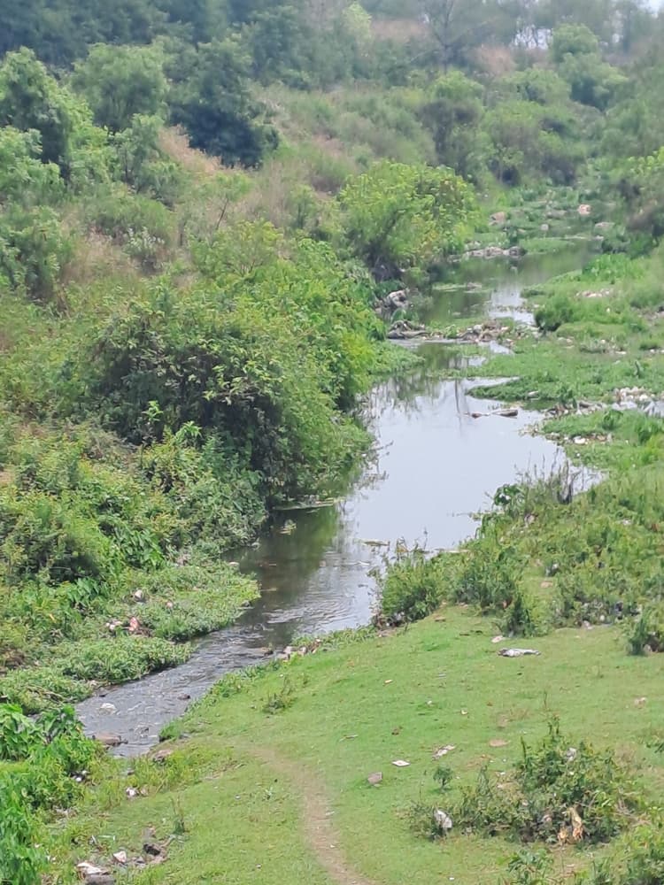 Bokaro News : बेरमो में गोदोनाला का मिट रहा अस्तित्व