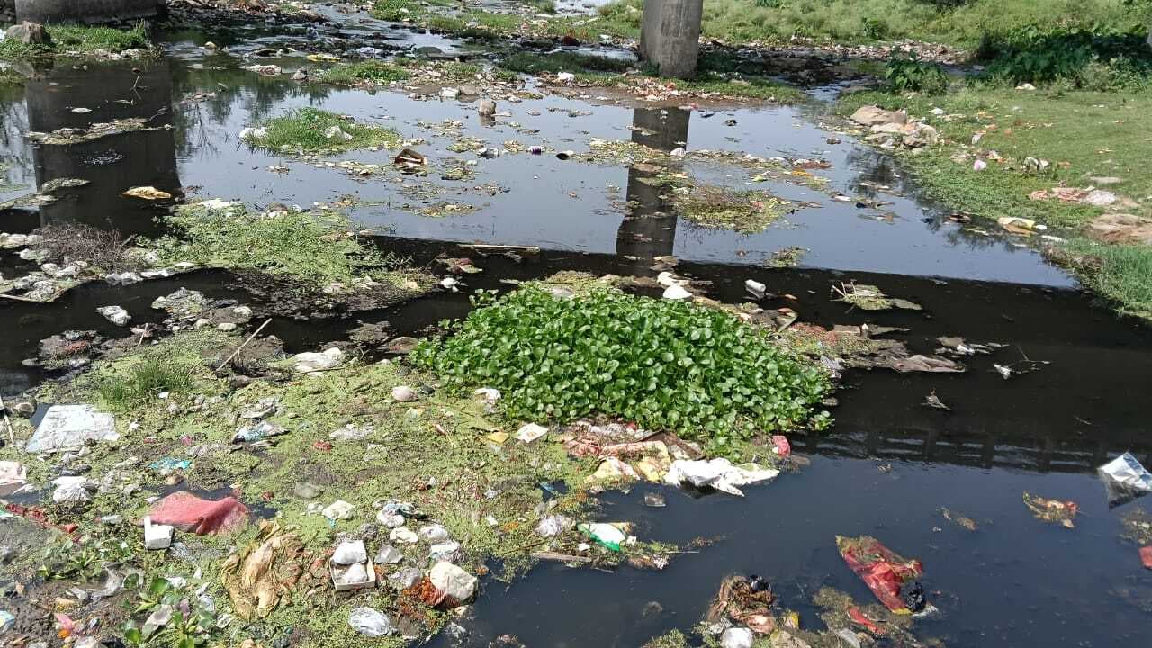 Chaibasa News : कचरा डंप होने से रोरो नदी का अस्तित्व खतरे में