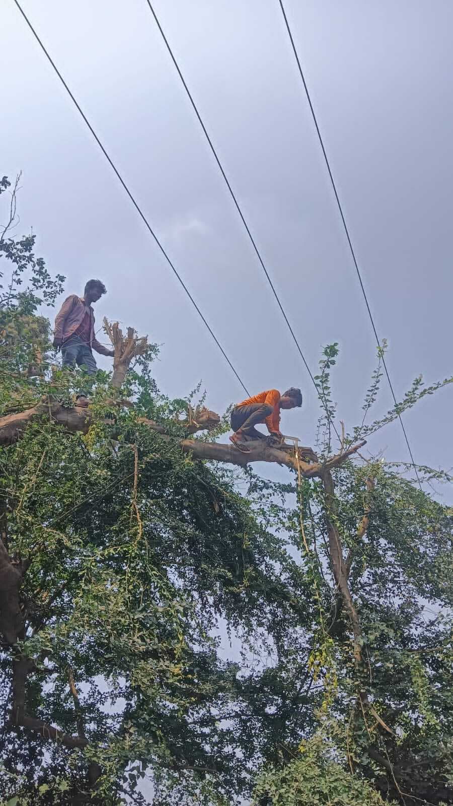 Motihari : मेंटेनेंस कार्य को ले आज बेलीसराय, कोटवा व चीनी मिल फीडर में बंद रहेगी आपूर्ति