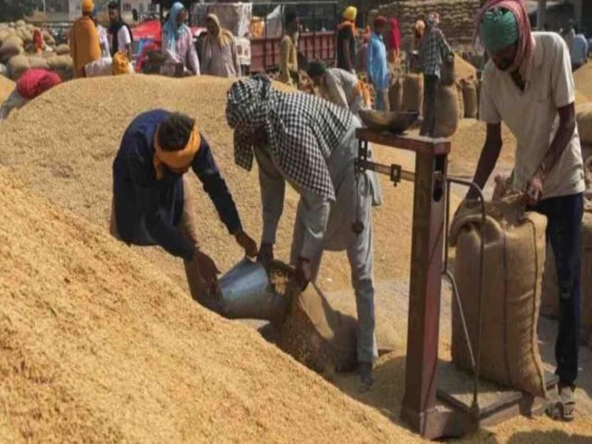 deoghar news : धान खरीद में 15 दिनों के विस्तार को मंजूरी, सभी जिलों को लक्ष्य पूरा करने का निर्देश