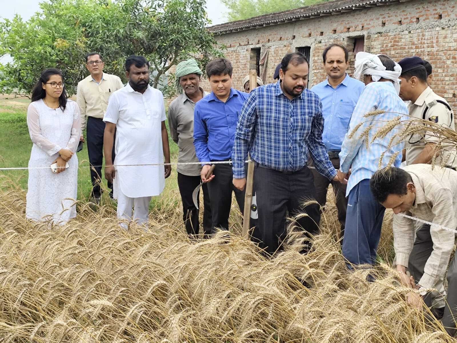 डीएम की मौजूदगी में करायी गयी गेंहू की क्रॉप कटिंग