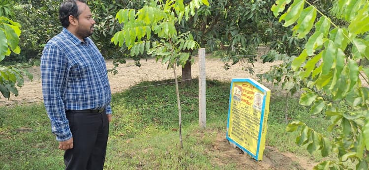 मनरेगा योजना के तहत पौधरोपण का डीएम ने किया निरीक्षण