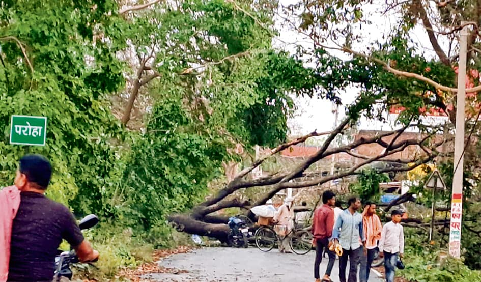 Gopalganj News : हथुआ अनुमंडल में आंधी-तूफान और ओलावृष्टि से हुई तबाही, फसलों को पहुंचा नुकसान