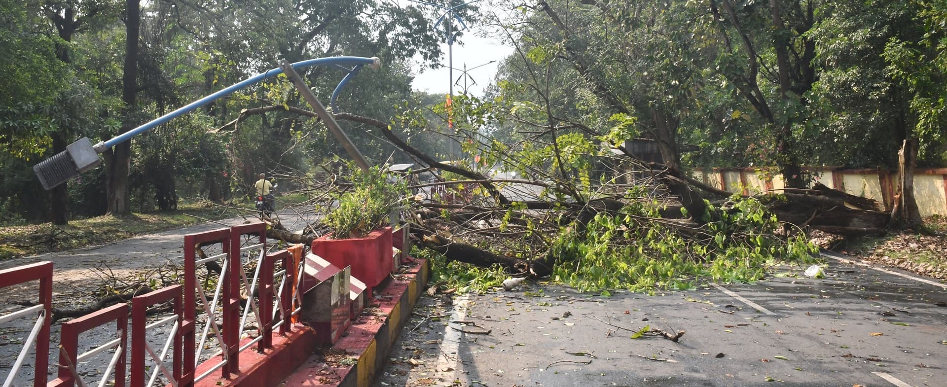 Bokaro News : झमाझम बारिश व तूफान से गिरे पेड़, तो कहीं खंभा