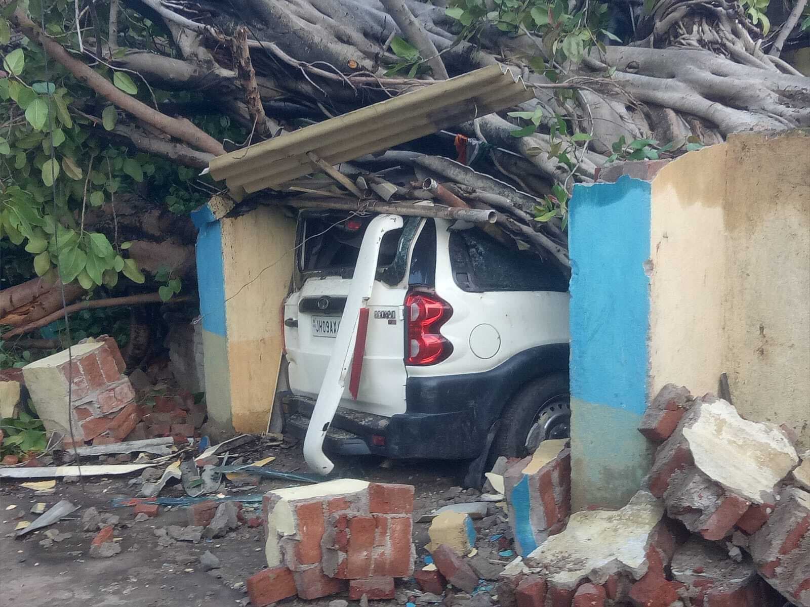 Bokaro News : तेज आंधी से बरगद का पेड़ उखड़ा