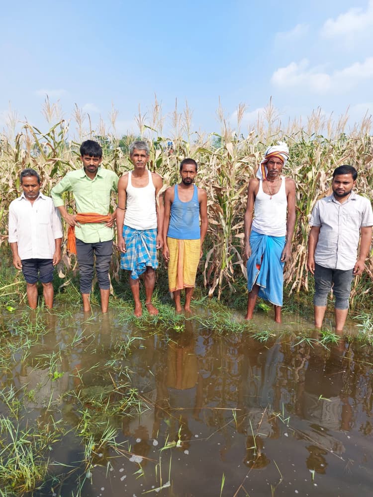बारिश के बाद खेत में जल जमाव होने से फसले सूखी