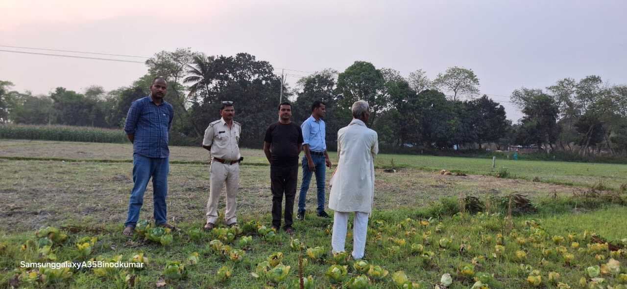 चापाकल व मोटर की चोरी, जांच में जुटी पुलिस