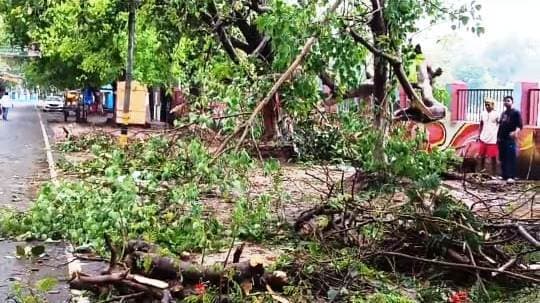 बीती रात आयी तेज आंधी व मूसलाधार बारिश ने मचायी तबाही, कई स्थानों पर गिरे पेड़