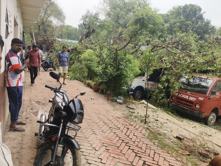 Storm, rain and hailstorm in Samastipur: आंधी-तूफान में गिरा पीपल का विशाल पेड़, चार स्कूल वैन क्षतिग्रस्त