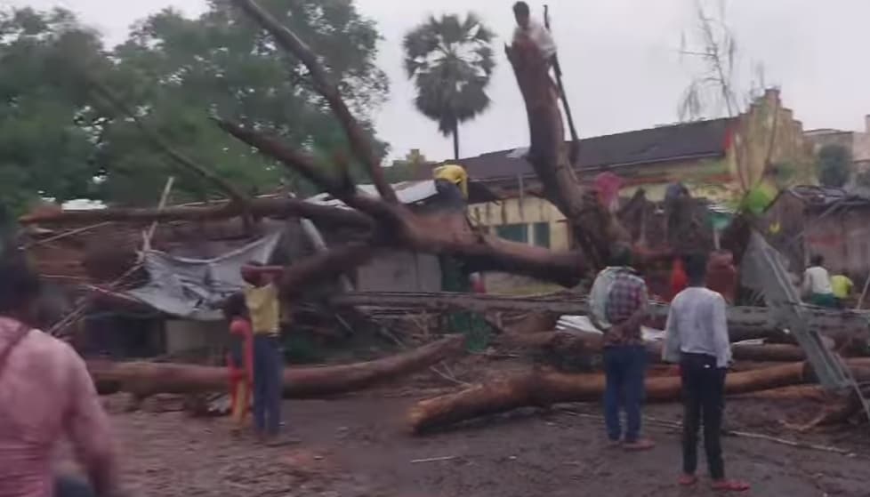 Samastipur News:आंधी व ओला से गेहूं व मक्के की फसल बर्बाद