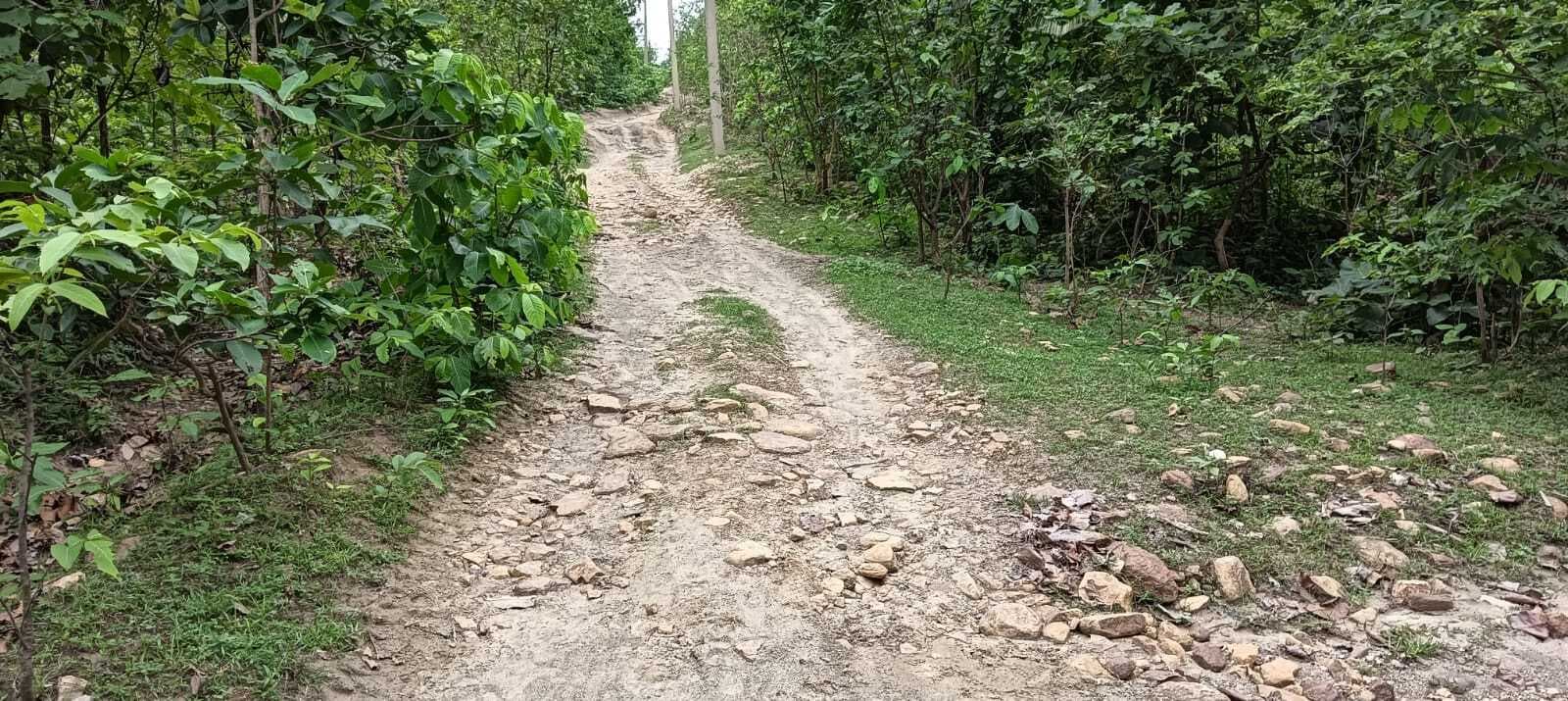 Giridih News :झारखंड-बिहार की सीमा पर बसे गांवों में बिजली, सड़क व स्वास्थ्य सुविधा का अभाव