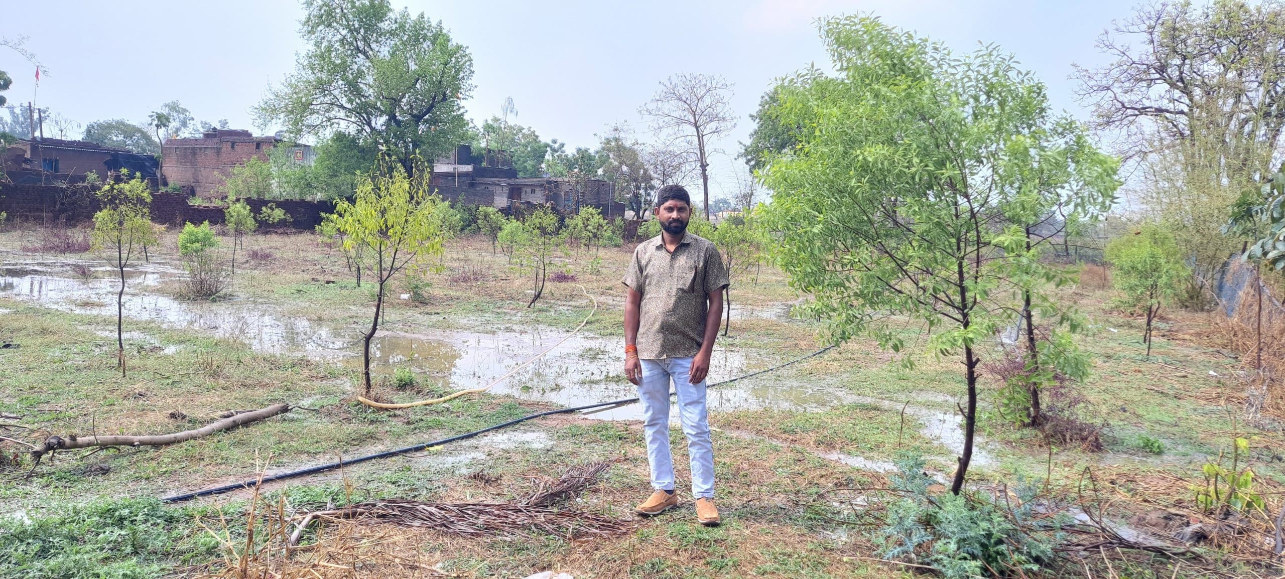 Bokaro News : चंदन की खेती कर अलग पहचान बनाने में जुटे हैं बाराडीह गांव के राजकुमार