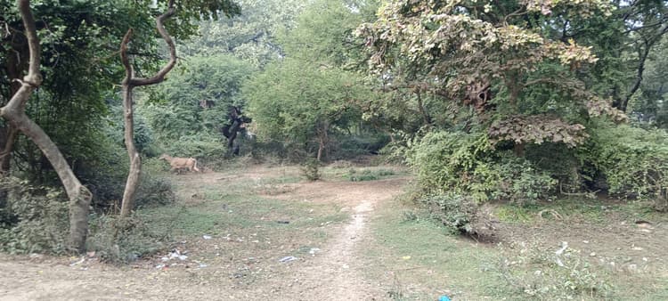 दो महीने बाद भी शुरू नहीं हुआ भलुनीधाम के कायाकल्प का काम