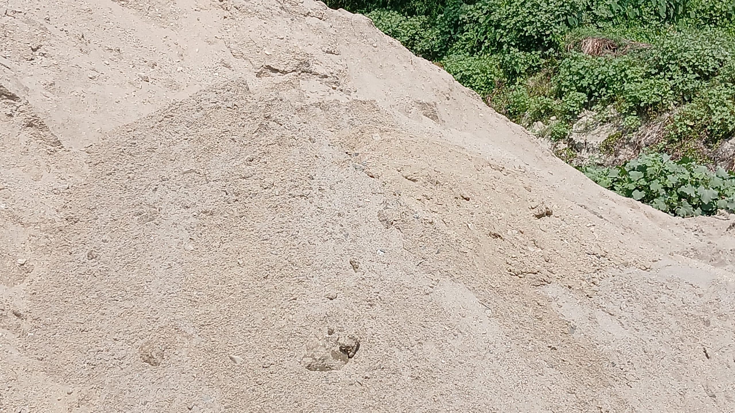 पुल निर्माण कार्य में अनियमितता का आरोप