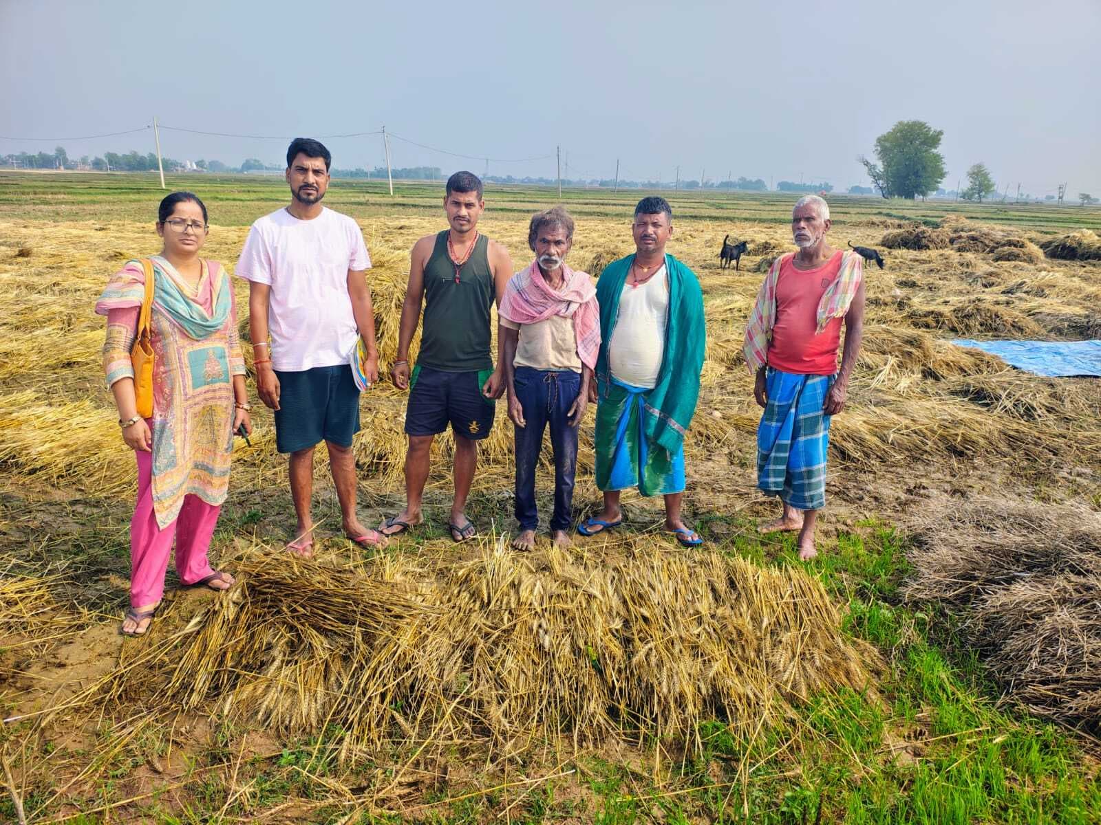 बारिश से हुई फसल क्षति का आंकलन प्रारंभ, किसानों में जगी मुआवजा की उम्मीद