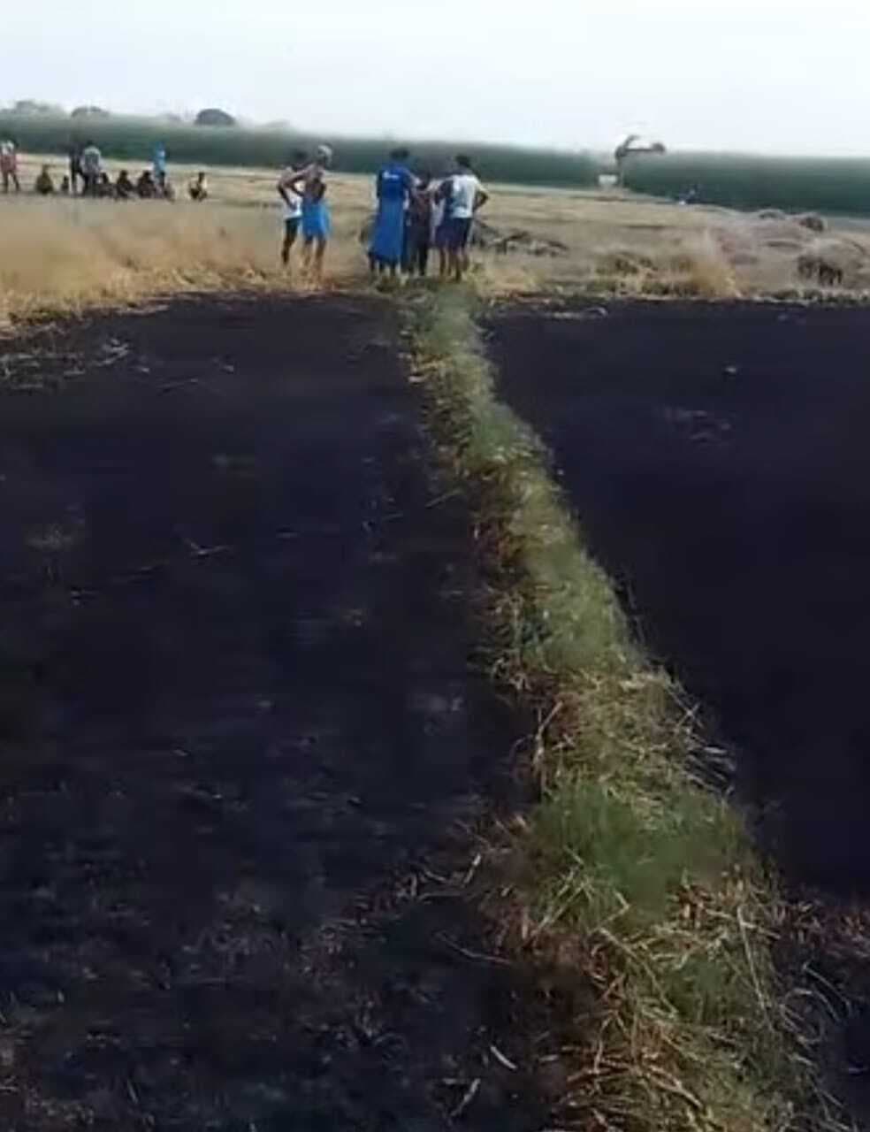 लौगांय बहियार में विद्युत प्रवाहित तार टूटा, दो एकड़ गेहूं की फसल जलकर राख