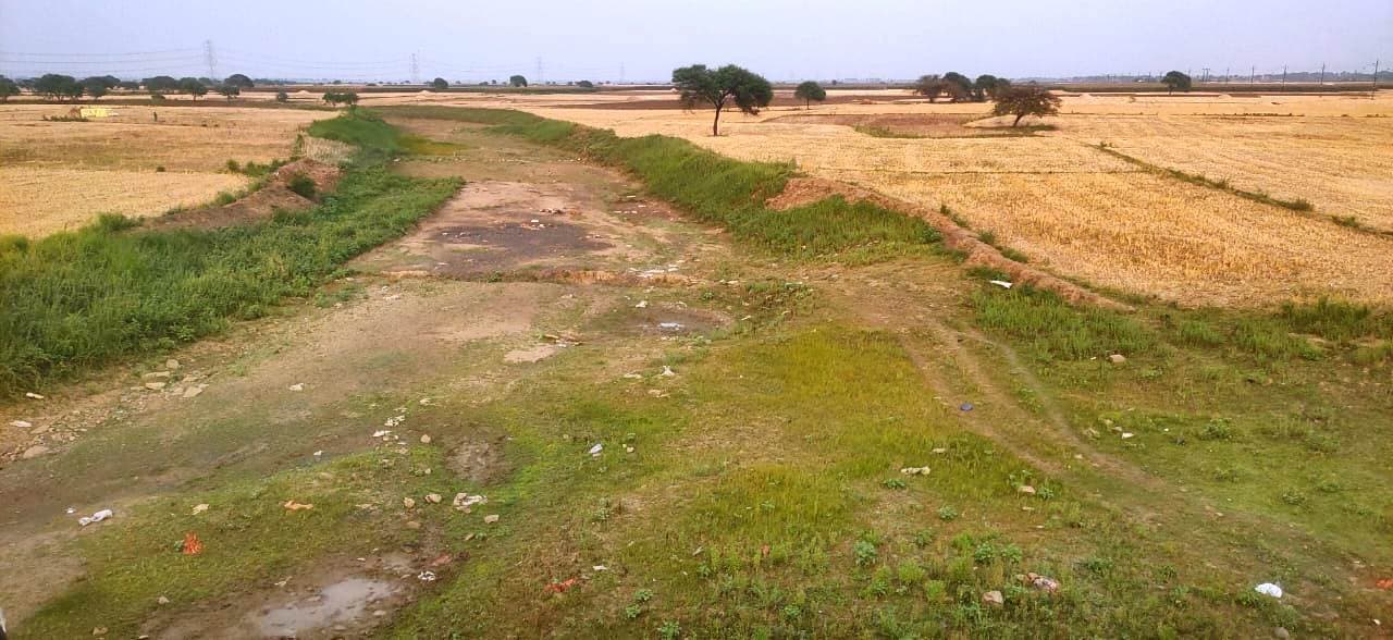 Bhagalpur news चांदन नदी में नहीं बना चेक डैम, तीन बार सांसद ने विभाग को भेजा प्रस्ताव