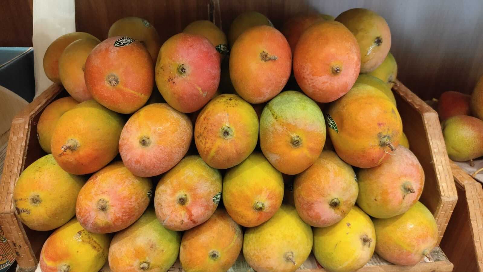 Ranchi News : फलों के राजा ''आम'' से सजने लगा बाजार