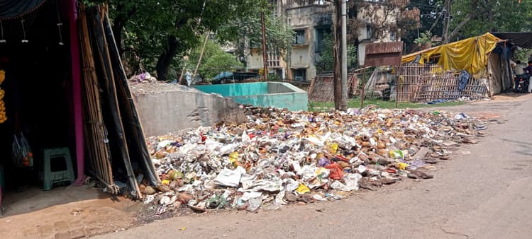 Bokaro News: डस्टबिनों की गंदगी से उठती सड़ांध से कॉलोनी में रहना दूभर