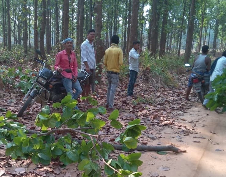 Bokaro News : गश्ती अभियान में पेड़ काटते पकड़े गये कई लोग