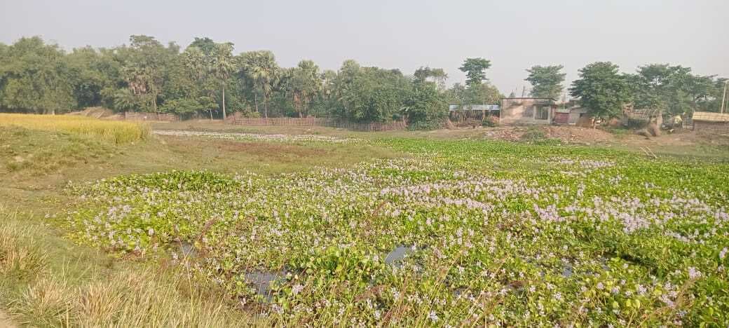 विश्व पृथ्वी दिवस पर विशेष: पृथ्वी के बारे में अब नहीं सोचे तो रहना होगा मुश्किल