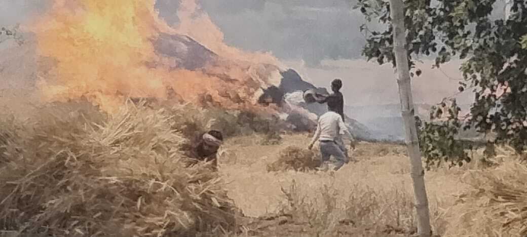खेत में आग लगने से हजारों रुपये की फसल जल कर हुई राख