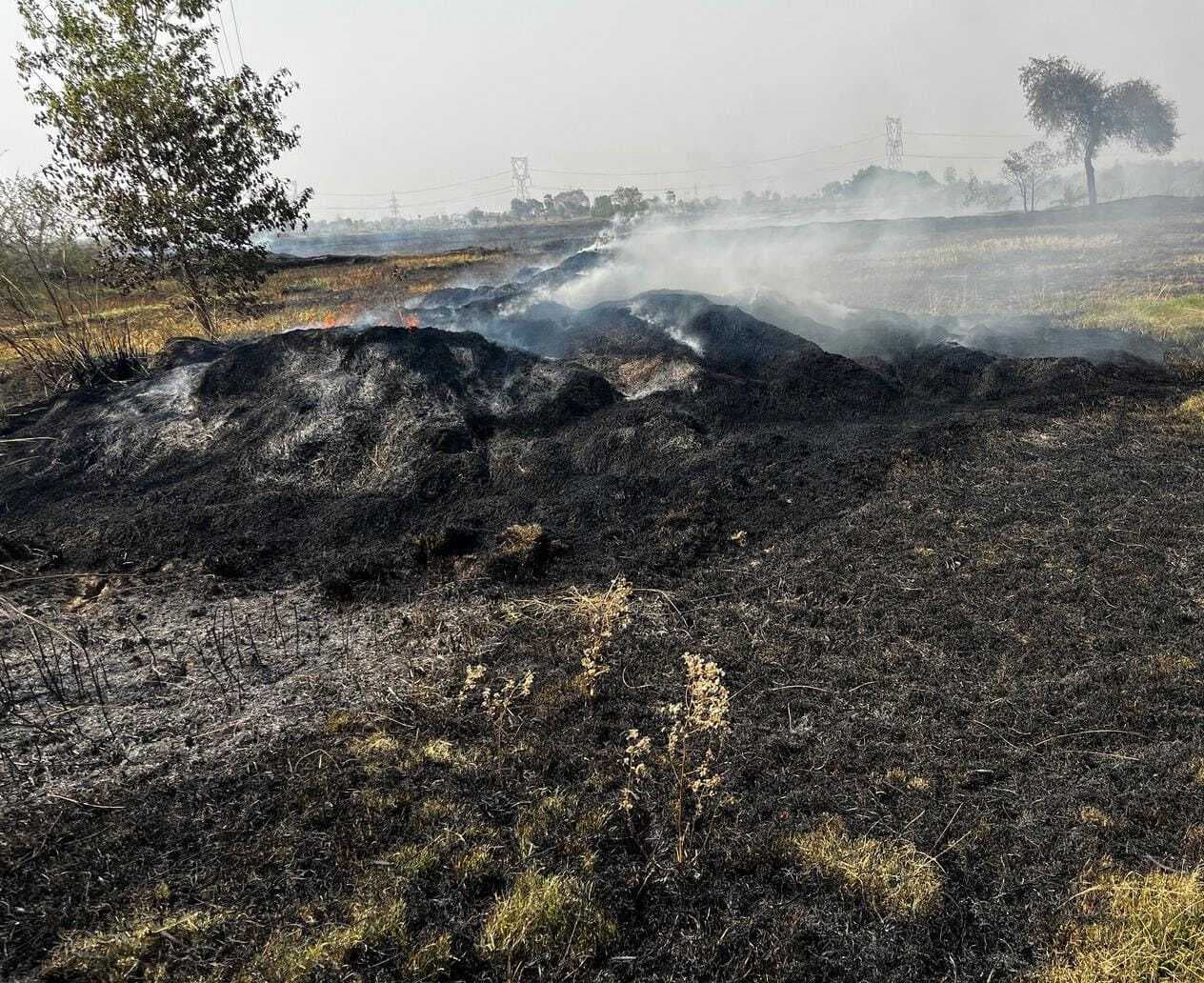 शॉर्ट सर्किट से लगी आग, गेहूं जलकर राख