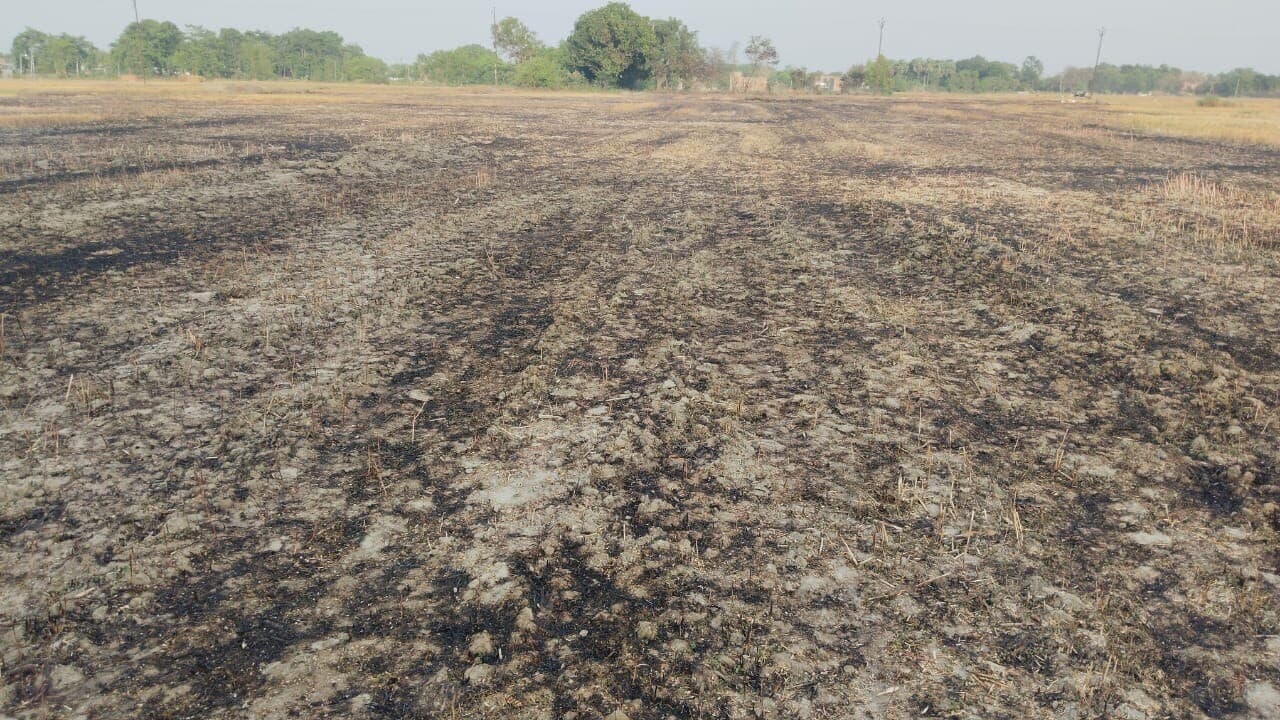 फुलवरिया में अगलगी में पांच एकड़ में लगी गेहूं की फसल राख, घंटों मशक्कत के बाद फायर ब्रिगेड की टीम ने बुझायी आग