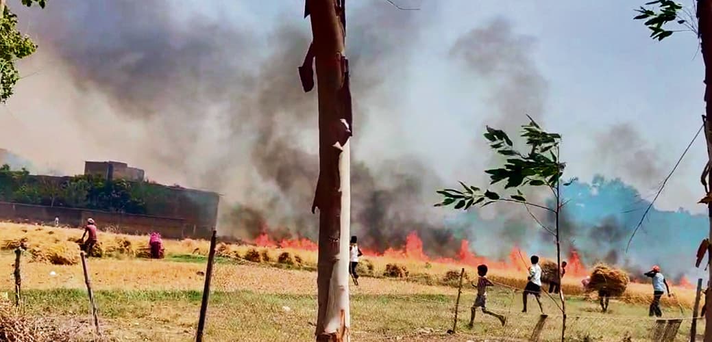 रघुनाथपुर बधार में भीषण आगजनी से किसानों को काफी पहुंचा नुकसान