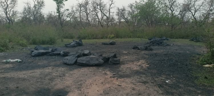 चितरा में फल-फूल रहा है अवैध कोयले का कारोबार
