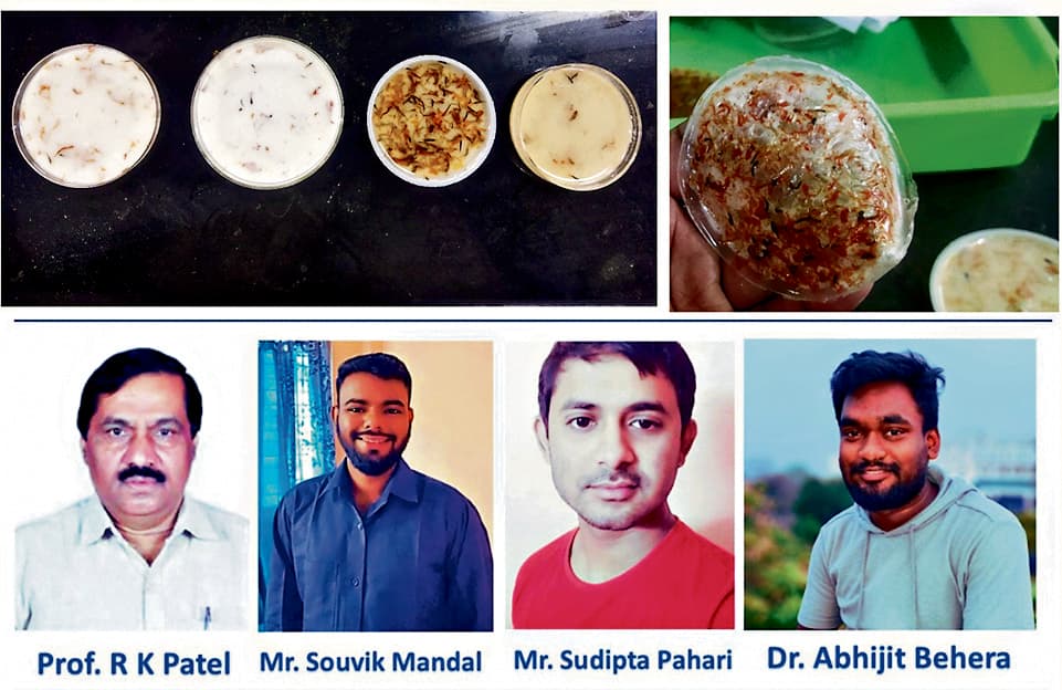 Rourkela News: एनआइटी के शोधार्थियों ने फूलों के कचरे से बायोडिग्रेडेबल पैकेजिंग सामग्री की विकसित, मिला पेटेंट