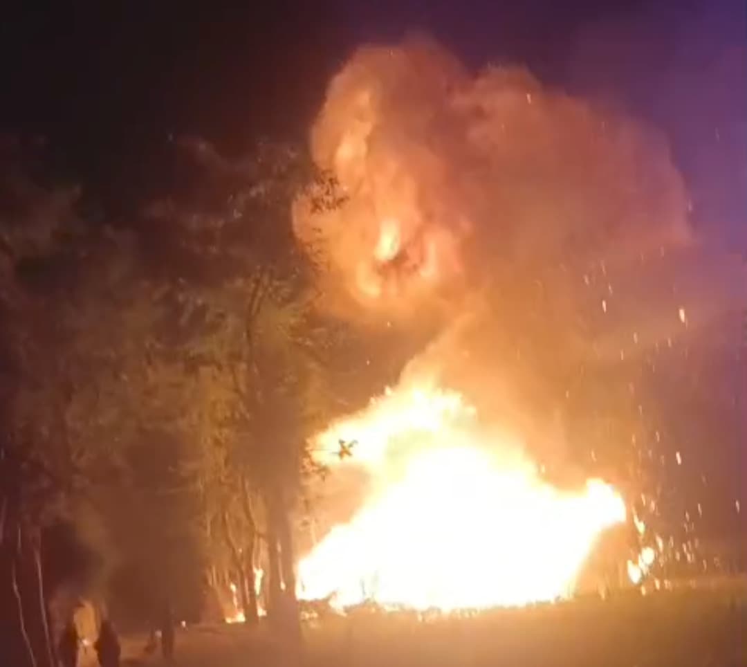 Motihari: अगलगी में एक घर सहित आधा दर्ज़न मवेशी झुलसे