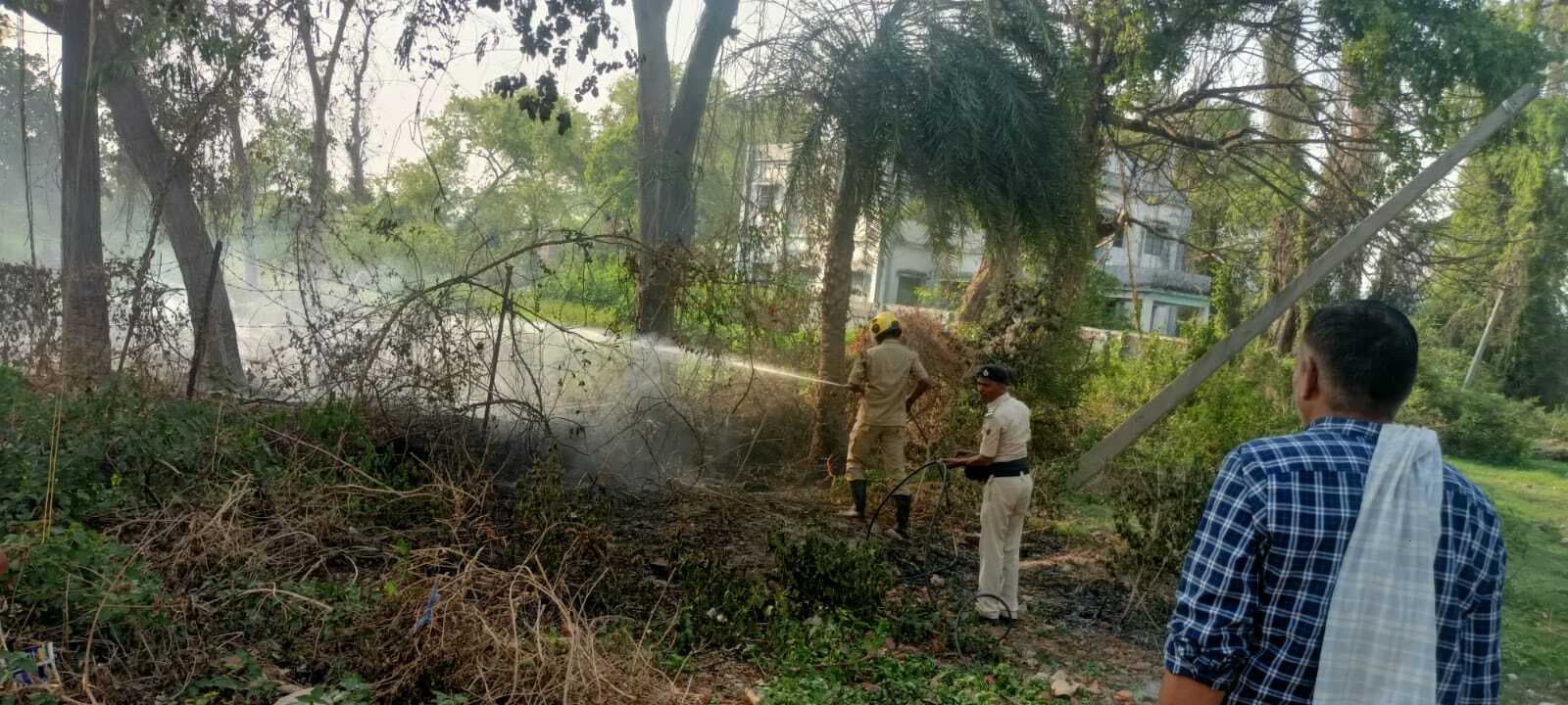 कौआकोल वन विभाग की नर्सरी में लगी आग