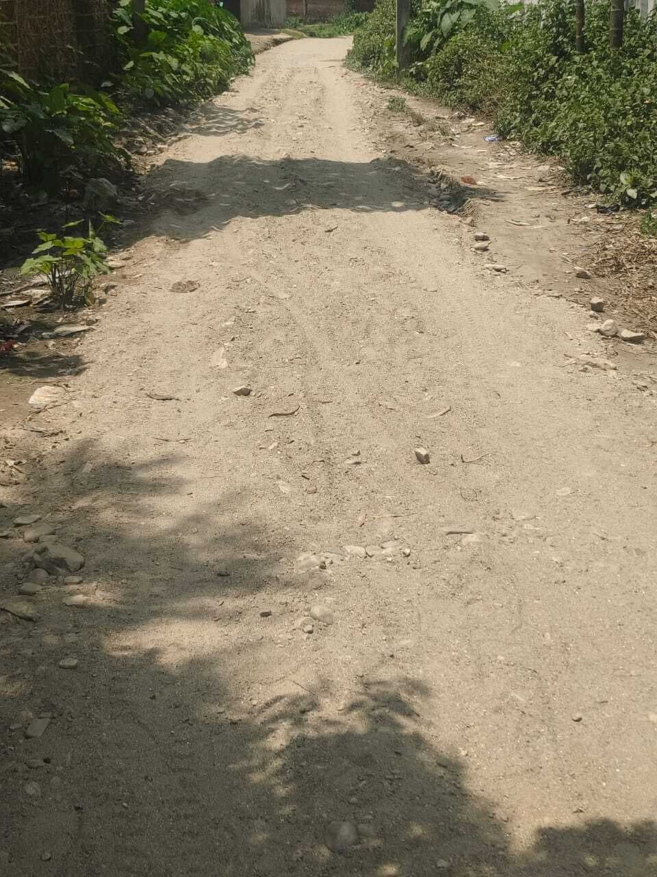 छत्तरगाछ पंचायत में पक्की सड़क निर्माण शुरू