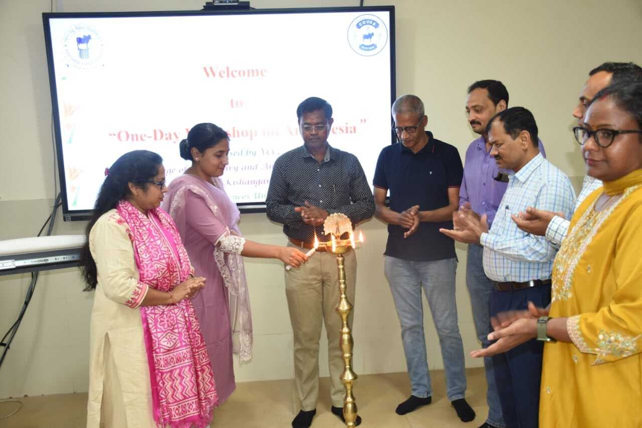 एनेस्थीसिया विषय पर एक दिवसीय कार्यशाला का आयोजन