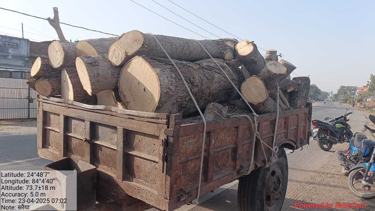 Sasaram News : वन विभाग ने भारी मात्रा में जब्त की अवैध लकड़ी