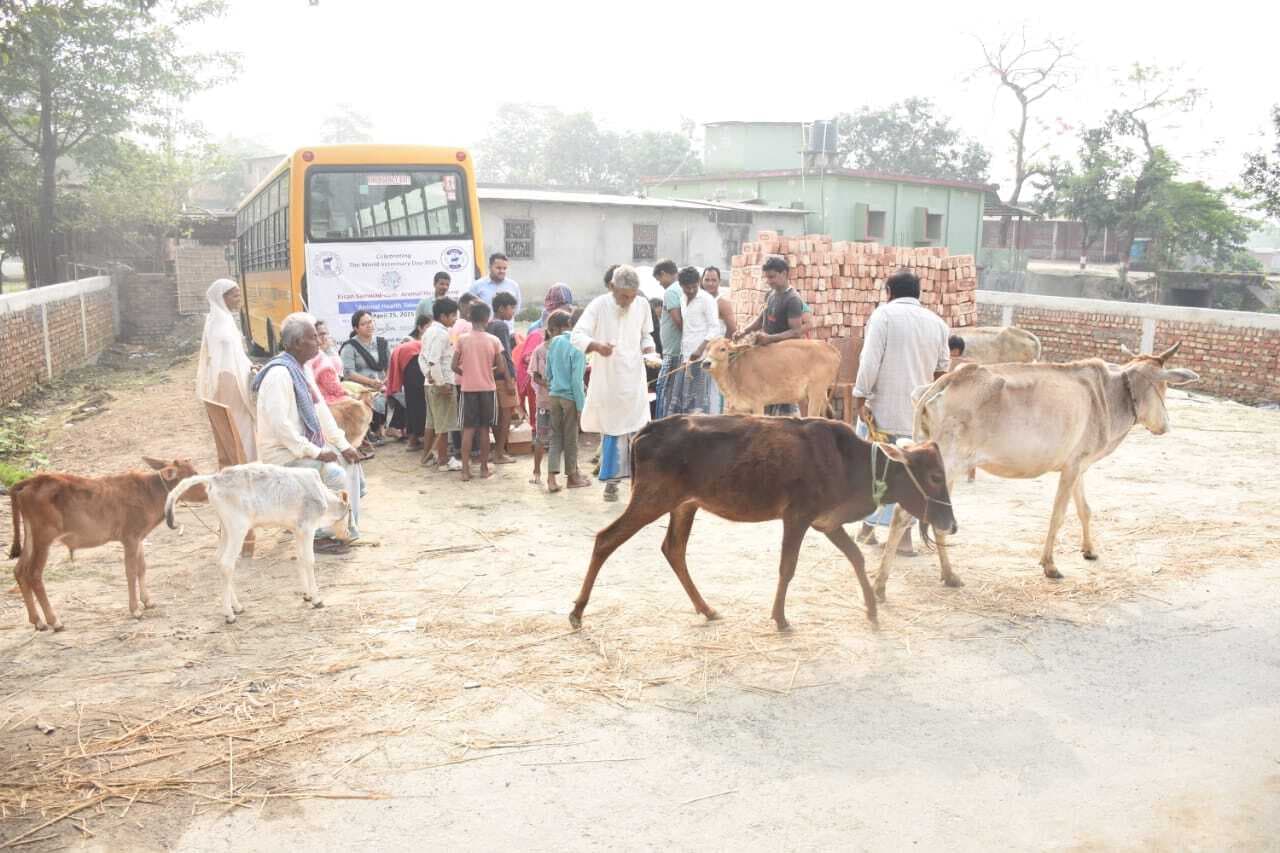 चिकित्सा  शिविर 213 पशुओं का इलाज