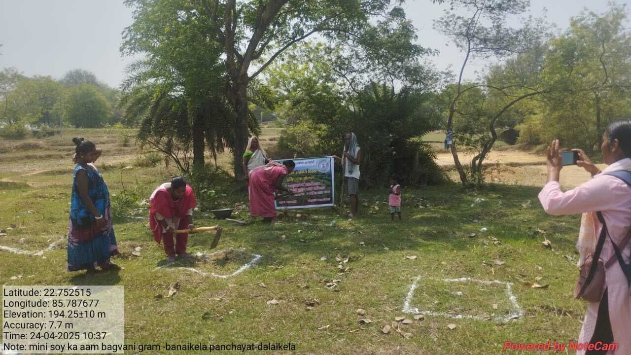 Seraikela News : जिले में हरियाली की पहल, 2000 एकड़ भूमि पर होगा पौधरोपण