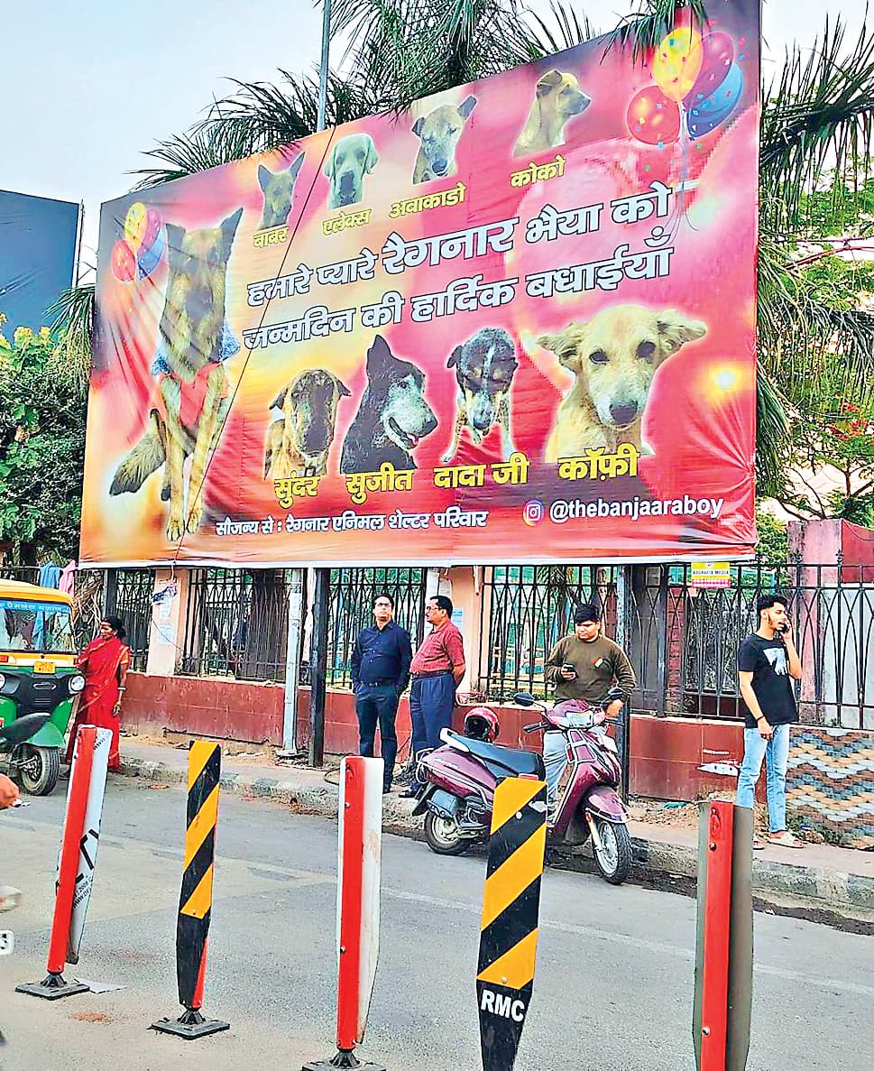 Ranchi News : जर्मन शेफर्ड रैगनार के बर्थडे होर्डिंग्स की हर जुबां पर चर्चा