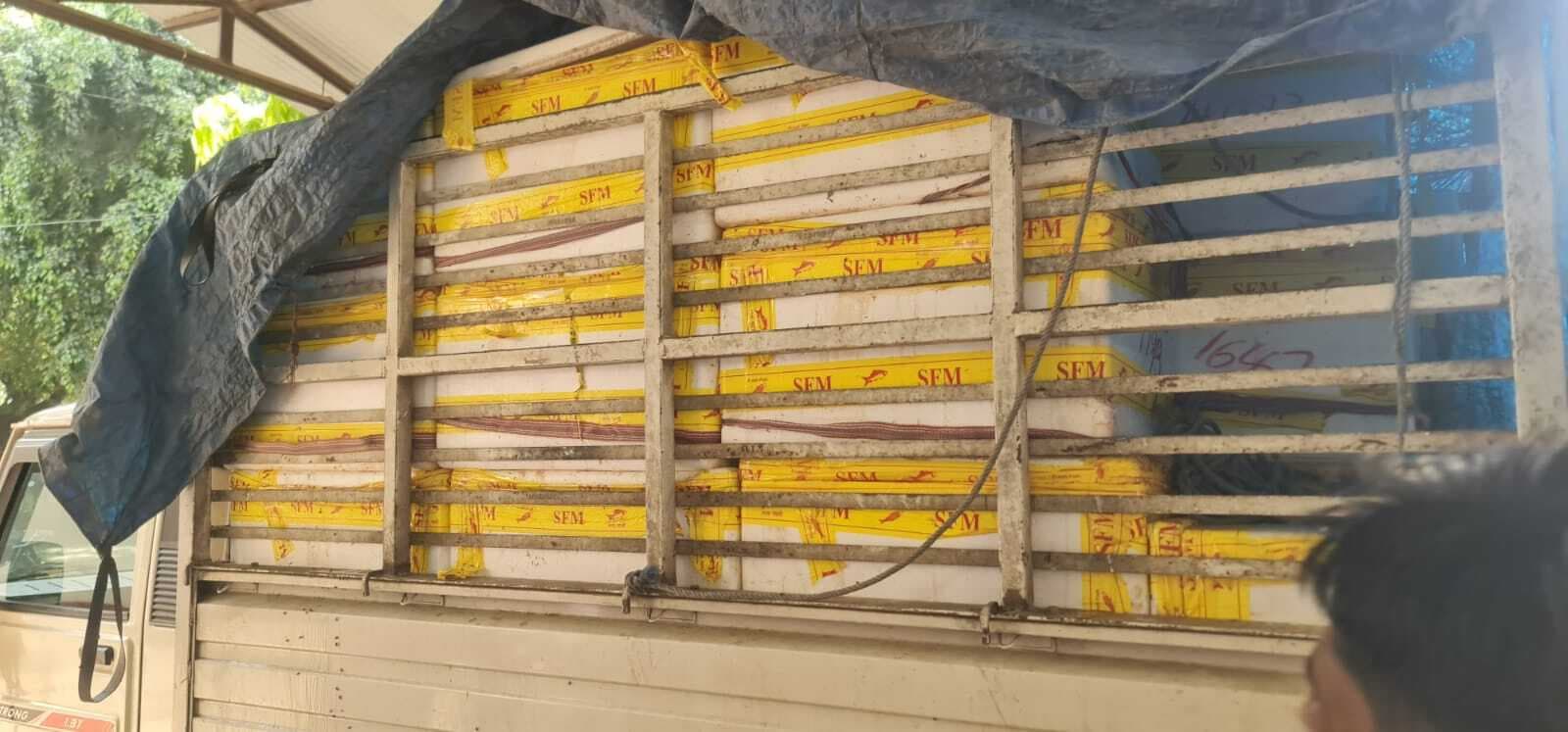 Motihari: तस्करी करके नेपाल भेजी जा रही मछली को एपीएफ ने किया जब्त