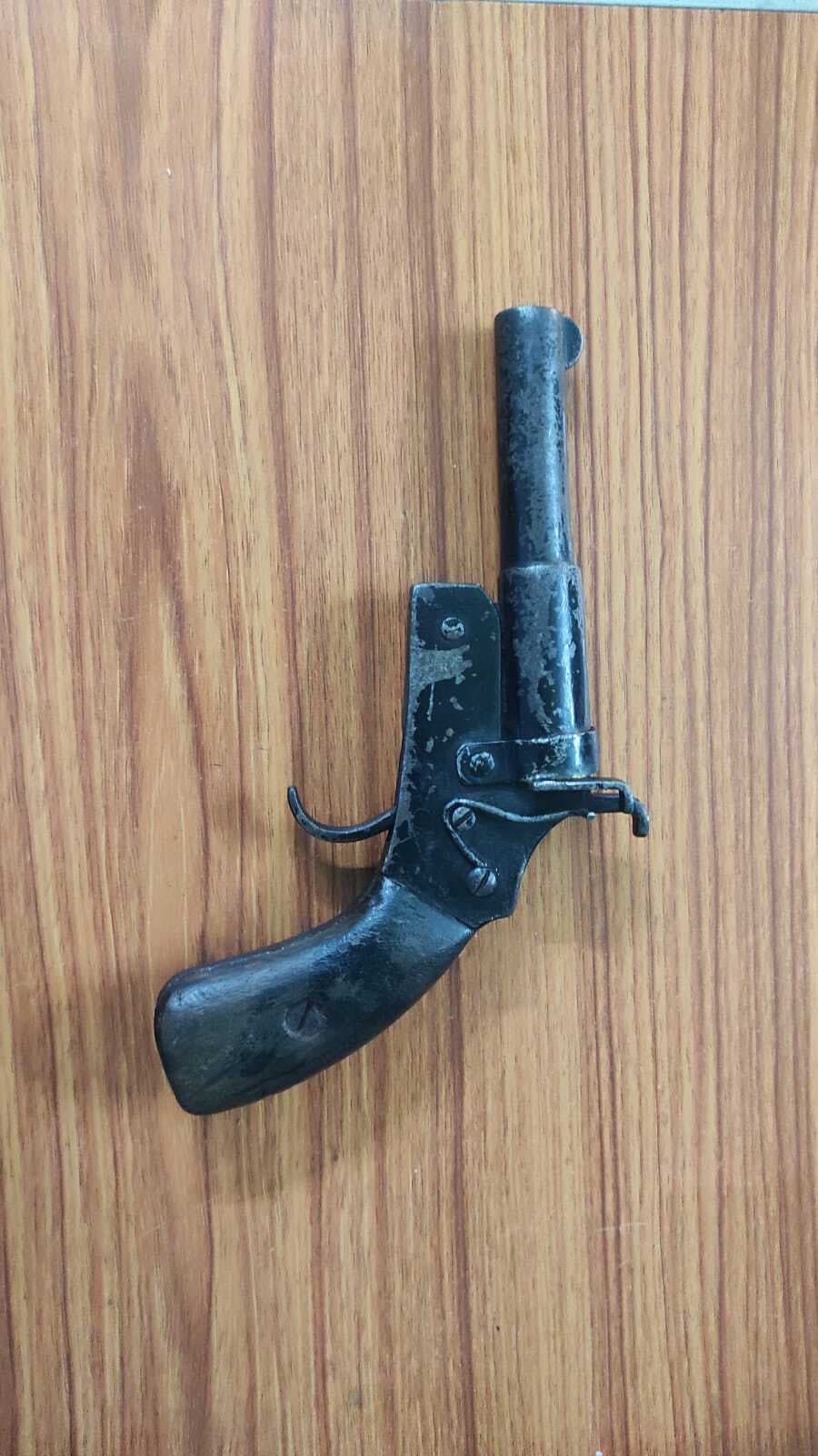 रात्रि गश्ती के दौरान पिकअप वैन से पुलिस ने तस्करी के मवेशी व एक देशी कट्टा को किया जब्त