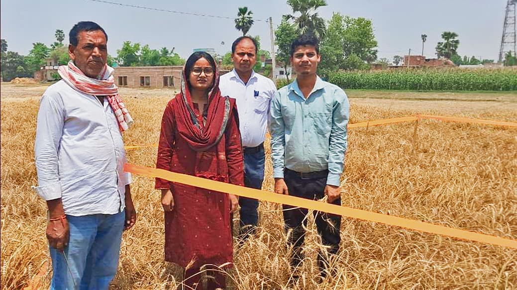 Saran News : बदरिहा में हुआ रबी फसल के लिए क्रॉप कटिंग का आयोजन