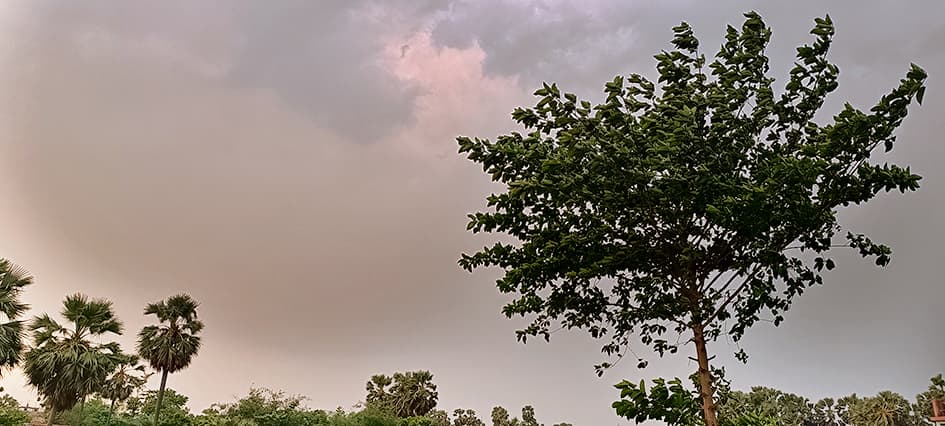 Saran News : दिघवारा में मौसम का अचानक बदला मिजाज, तेज आंधी और बारिश से मची अफरातफरी