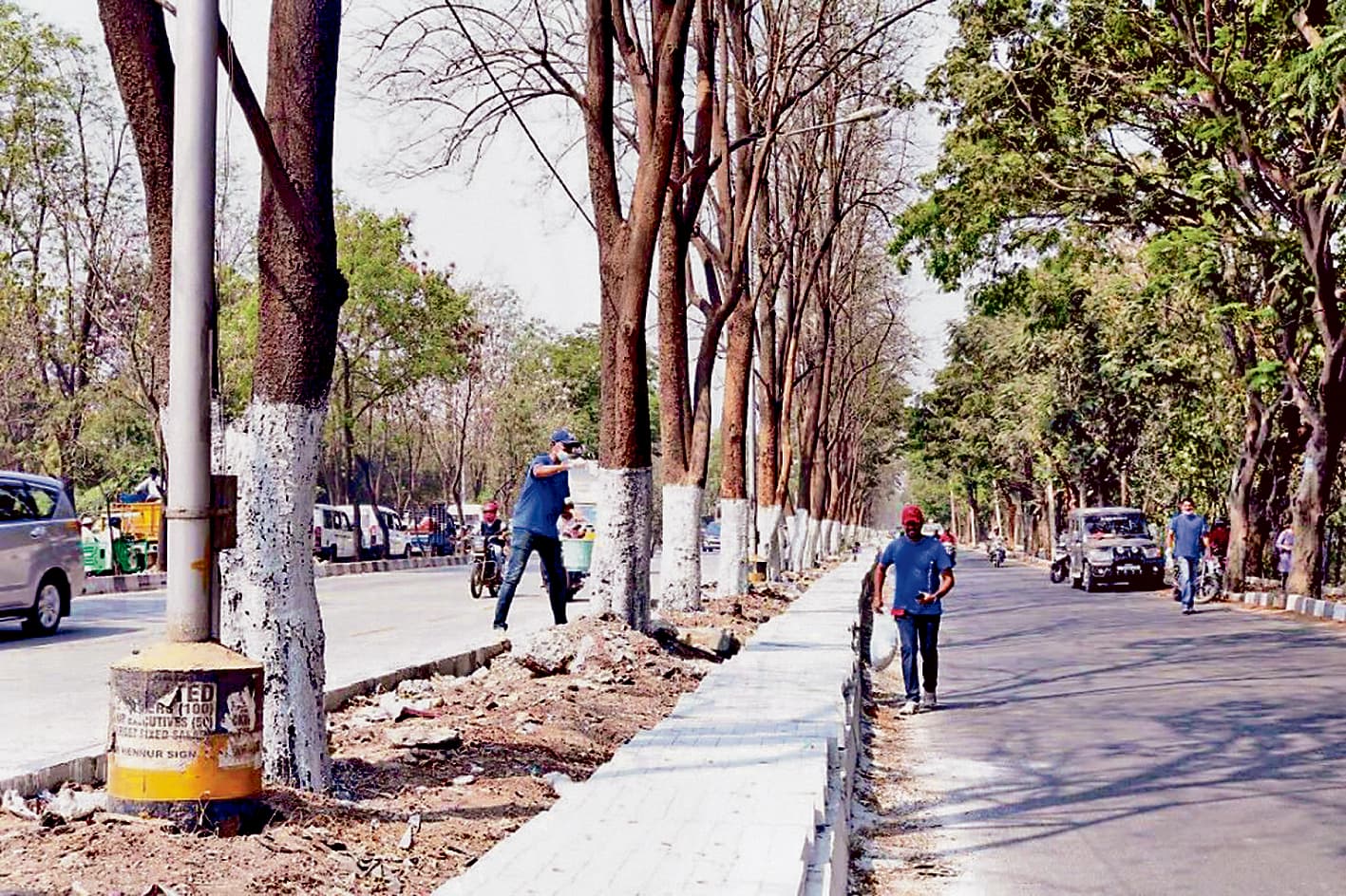 कोलकाता में बड़े पेड़ों के लिए जगह नहीं, केएमसी लगा रहा छोटे आकार के पेड़