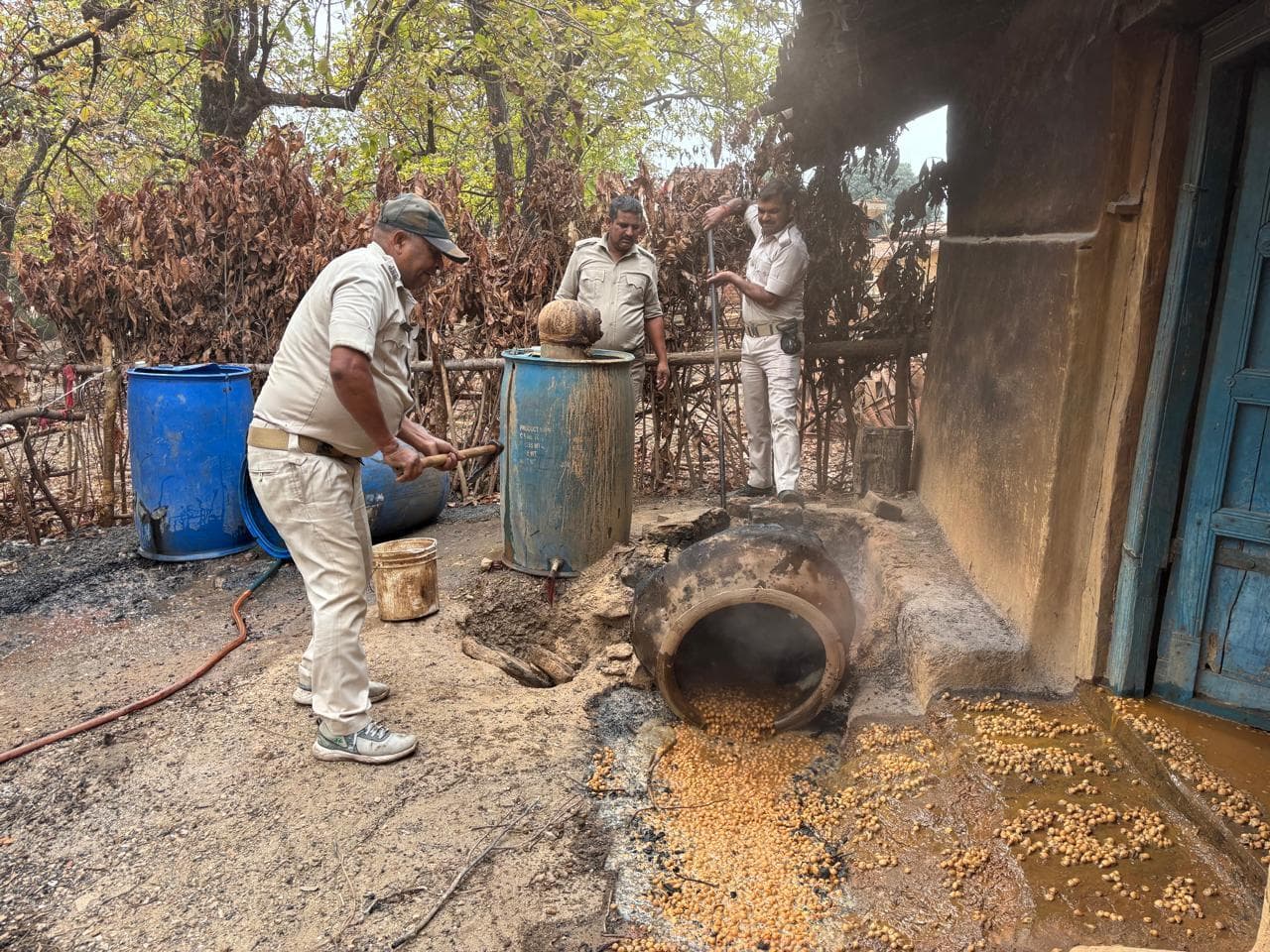 Giridih News: 5400 किलो जावा महुआ व 320 लीटर शराब किया नष्ट