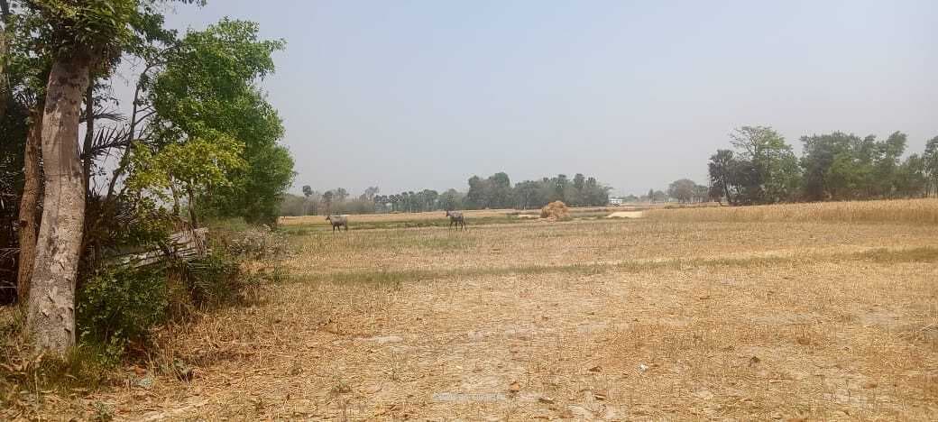 Samastipur News:भू-लगान जमा करने में पटोरी अंचल के किसान सबसे आगे